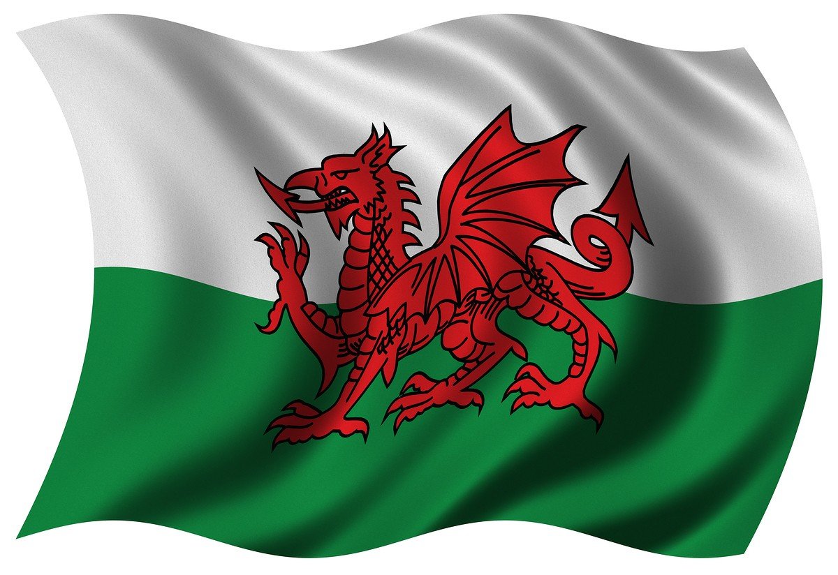 Welsh flag - Foresee Group